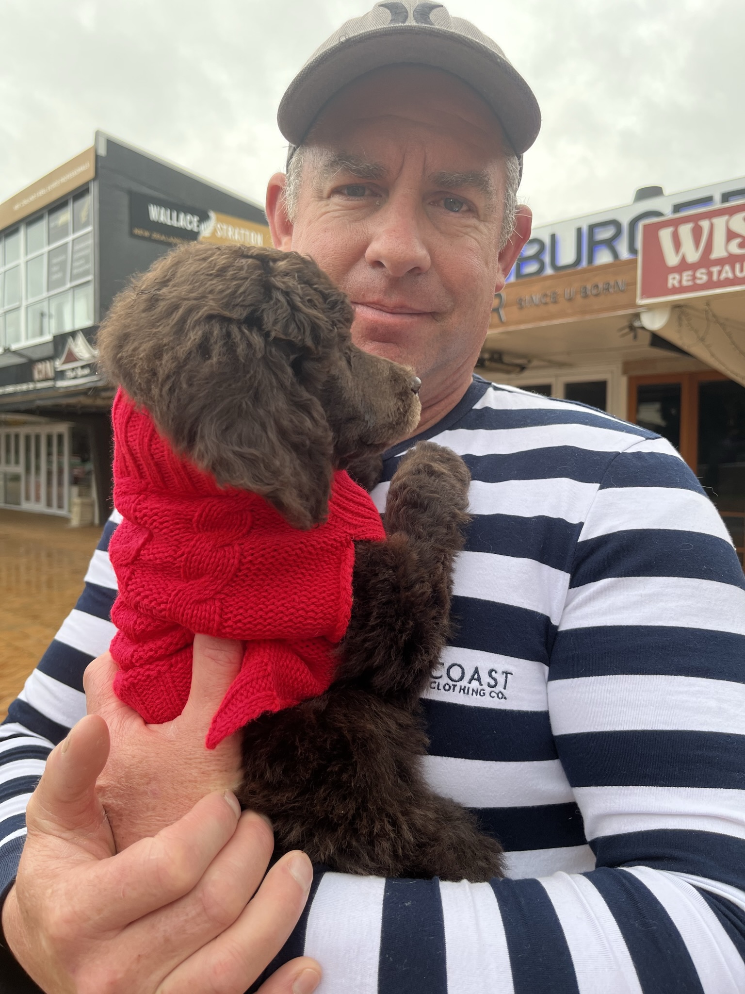 Goldendoodles, Groodles & Retrodoodles puppies from Bellawai Dogs, breeders based in the Bay of Islands, Northland, New Zealand.